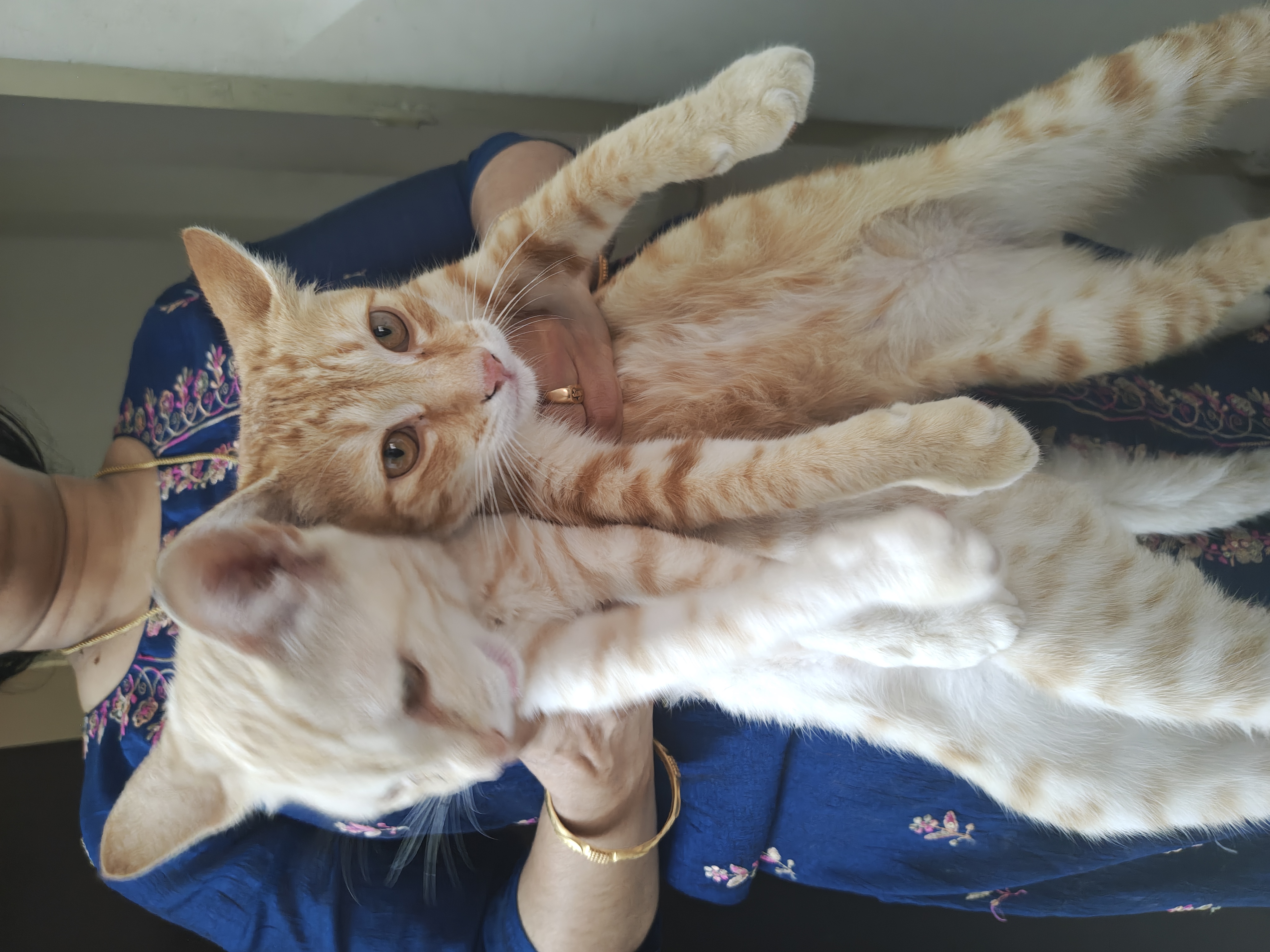 Ginger and off white