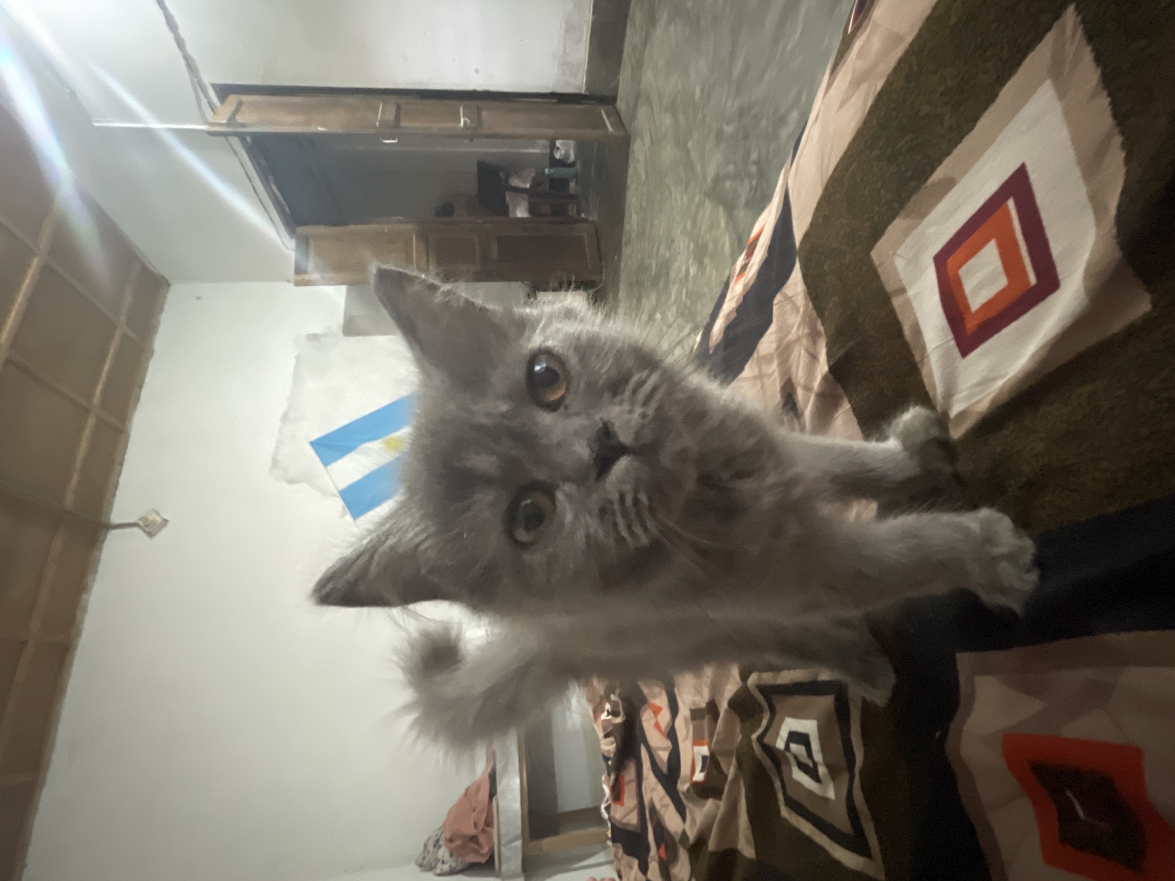 Persian