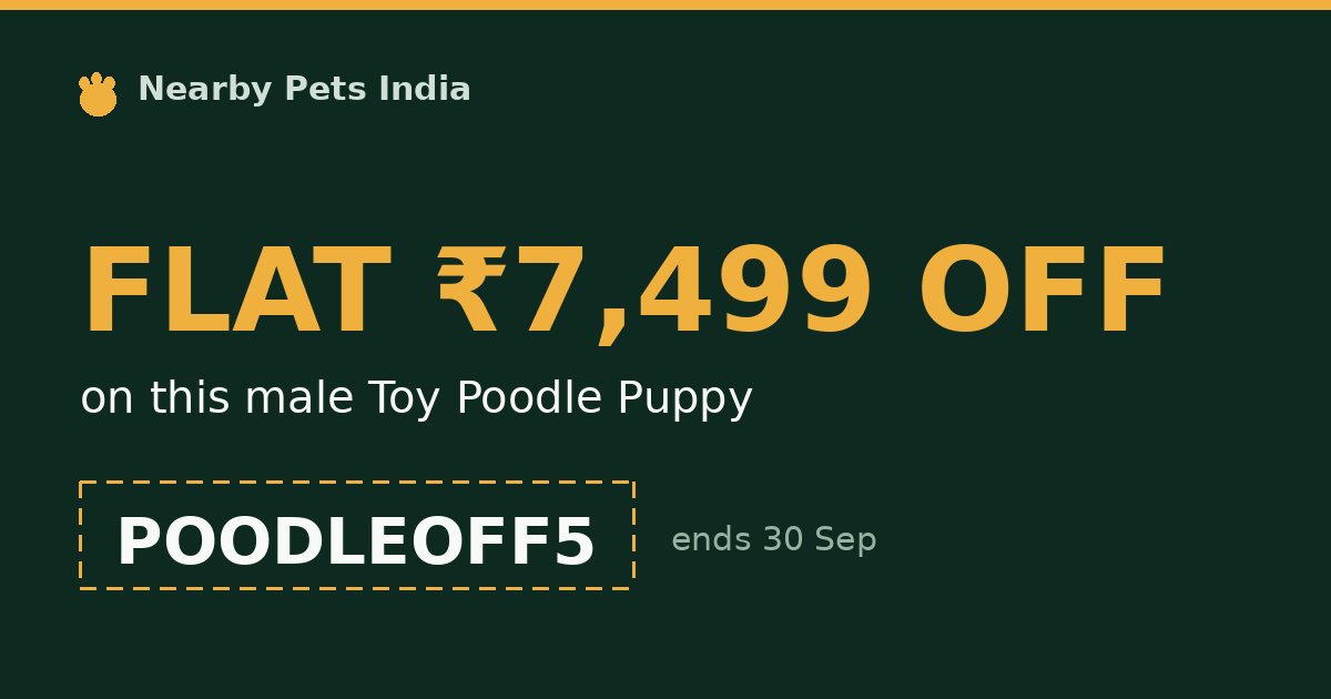 POODLEOFF5