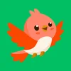 Exotic Birds & Chicks